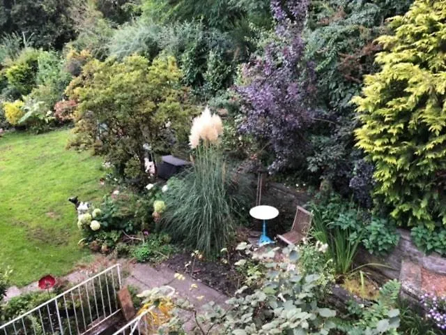 Bruehl, Am Heider Bergsee - 3 Sterne Dtv Appartamento Brühl