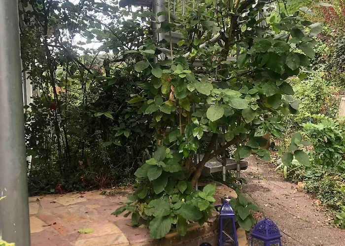 Bruehl, Am Heider Bergsee - 3 Sterne Dtv * Brühl